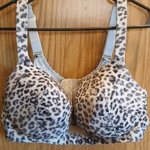 Cacique Animal Print Bra in Black and White